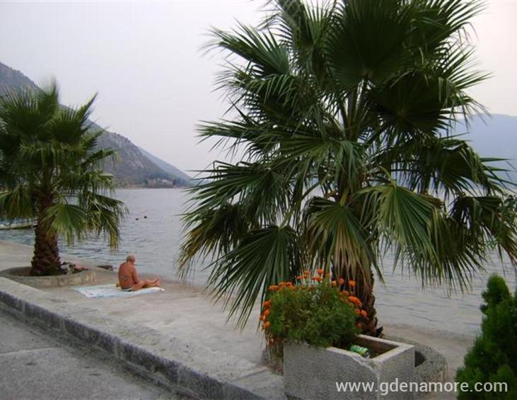 42.Plaža centar Risan